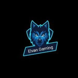 Elvan Gaming profile icon