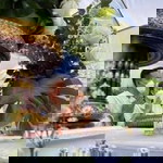 Firstclass SP profile icon