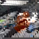 ออย'ย เอ๋อ'อ profile icon