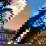 อนิศา ทุยยะค่าย profile icon