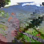 Siti Aminah Ibrahim profile icon