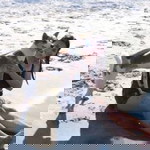 Charlott Gabriel profile icon