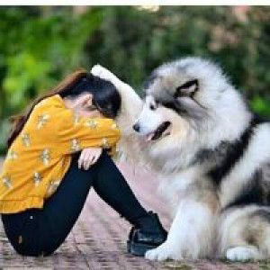 Euiskartinii profile icon