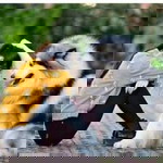 Euiskartinii profile icon