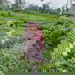 Eva Rosiani profile icon