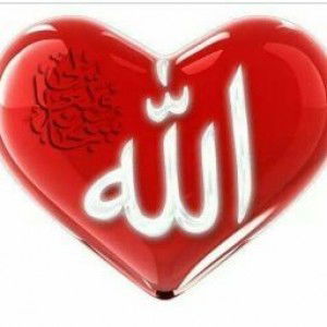 tiwi zahra profile icon