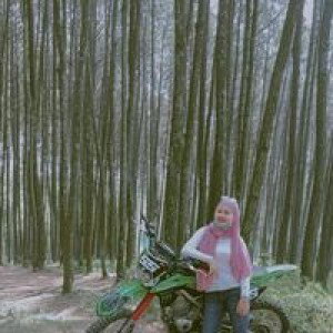 Elis Saputri profile icon