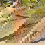 โม เมย์ profile icon