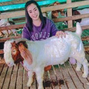 อลิชานันท์ ฟาร์ม profile icon