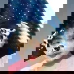 Poopeh Hojantuek profile icon