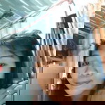 Ann Ako C Ann profile icon