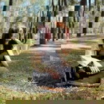 Patchon Faii profile icon