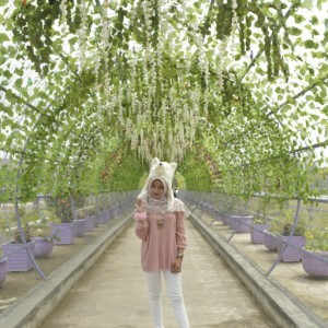 Lucyara Pambudi profile icon