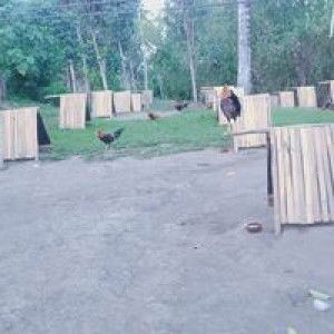 Anna Marie R. Baliton profile icon