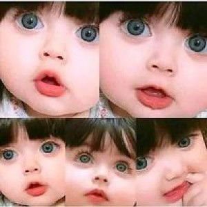 S N Bee profile icon