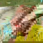 Jutatip Thongsri profile icon