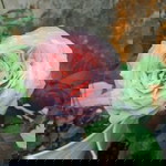 Herli Juwita profile icon