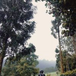 Dewi Sartika Full profile icon