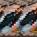 อ๋อ อีมมมมม. profile icon