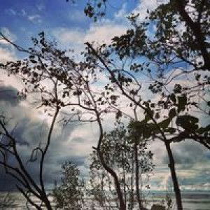 Tas Batam profile icon