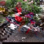 Marissa Mirabete profile icon