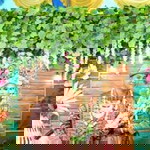 Rosiana profile icon