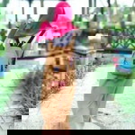 zeni mahirotul profile icon