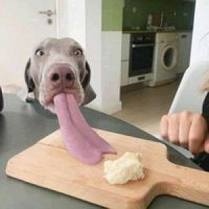 มาริสา’า ฯ. profile icon