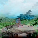 Dwi Indah profile icon