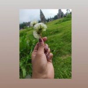 Syafa Salsabilla profile icon