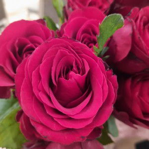 Yola Barokah profile icon