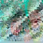 Fenny Wulandari Idris profile icon