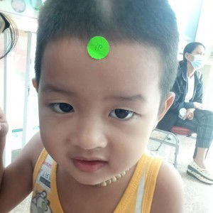 Domino Miiz profile icon