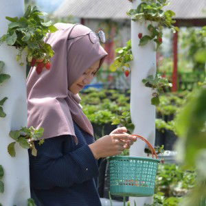 Indra Fitri profile icon