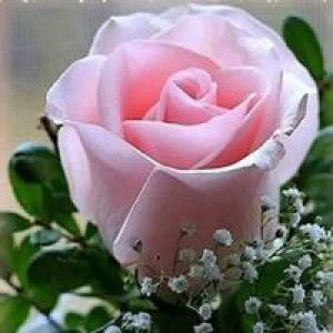 WulanDari Riny profile icon