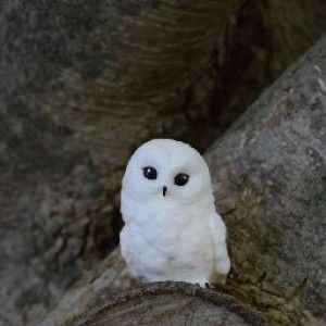 Fanta Break profile icon