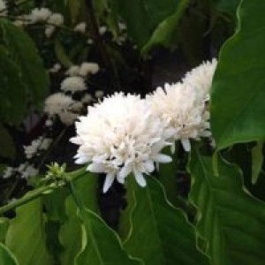 สู้ไป ให้ถึงฝั่งฝัน profile icon