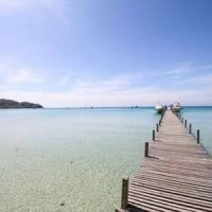 Yim Yim profile icon