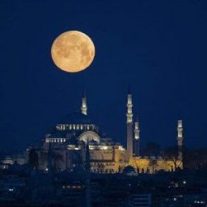 Nuree Nureesan profile icon