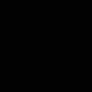 Rungnapha Thepmanee profile icon