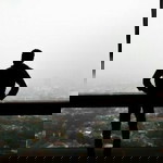 eggy firmansyaah profile icon