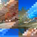 Cik Puan Sanah Sharun profile icon