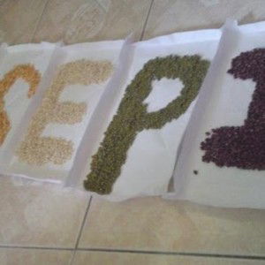 Kaeyroon Amieyzzah profile icon