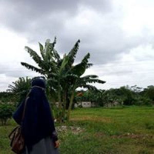 Aml Lia Amalia profile icon