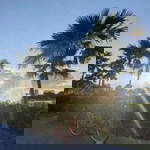 Lutaz Ron profile icon