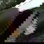 Rizqiatul Maula profile icon