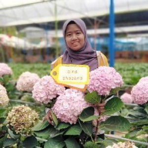 Aina Shazana profile icon