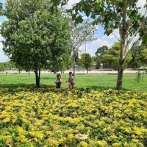 แม๋ม แสงพระจัน profile icon