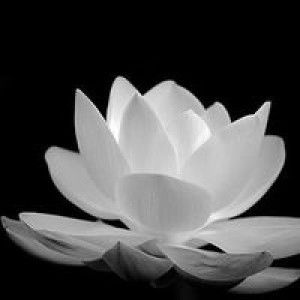 Trâm Đoàn profile icon