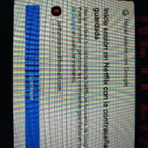 carolina andrea profile icon